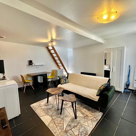 Studios Au Quartier Pavillonnaire Rue D Ambert Orleans Ngoại thất bức ảnh