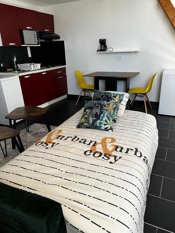Studios Au Quartier Pavillonnaire Rue D Ambert Orleans Ngoại thất bức ảnh